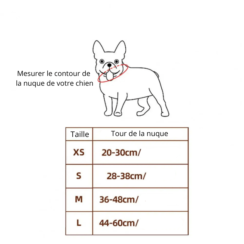 https://cdn.shopify.com/s/files/1/0763/9767/4819/files/Deguisement_halloween_chien_fantome.png?v=1757505847