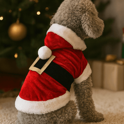 https://cdn.shopify.com/s/files/1/0763/9767/4819/files/Deguisement_noel_chien.png?v=1757507707