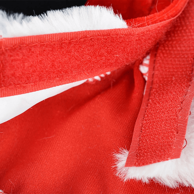https://cdn.shopify.com/s/files/1/0763/9767/4819/files/Deguisement_noel_chien_accroche.png?v=1757507737