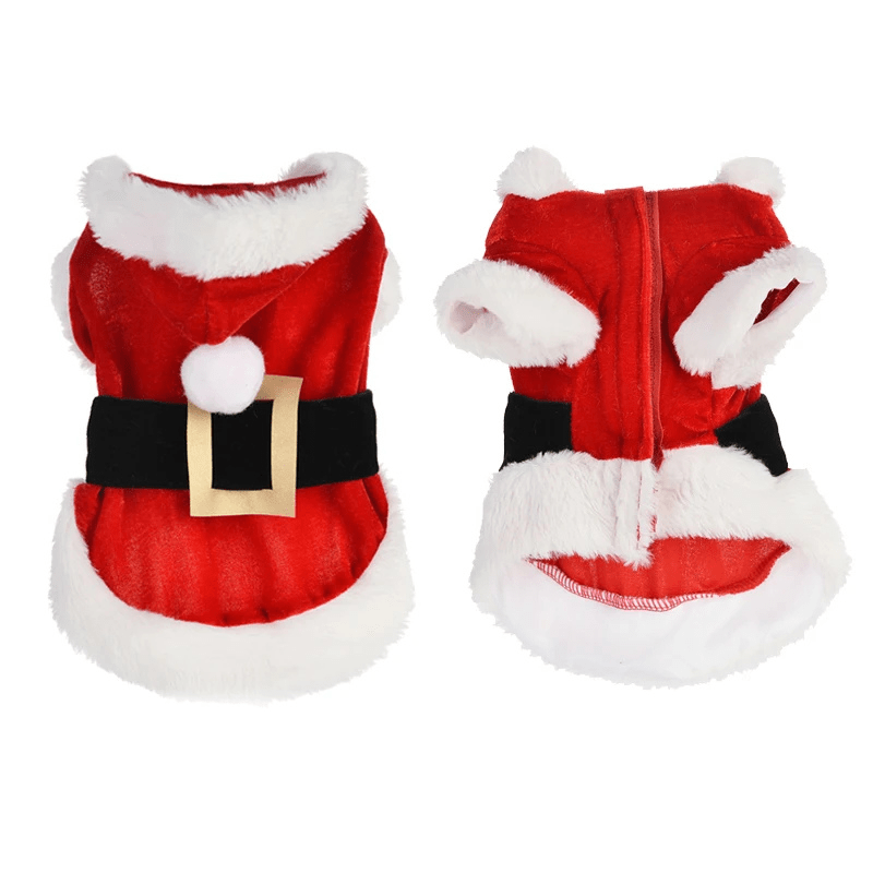 https://cdn.shopify.com/s/files/1/0763/9767/4819/files/Deguisement_noel_chien.png?v=1757507707