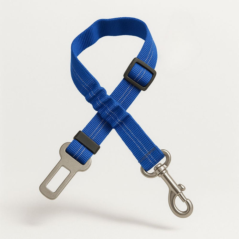 https://cdn.shopify.com/s/files/1/0923/9910/8483/files/Ceinture_De_S_curit_Pour_Chien_Amortissante.jpg?v=1747371418