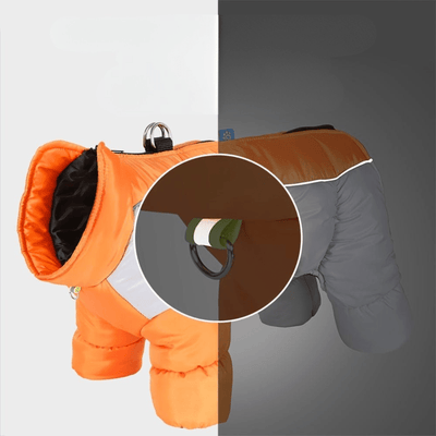 https://cdn.shopify.com/s/files/1/0489/2898/1148/files/Dog_Coat.png?v=1755848105