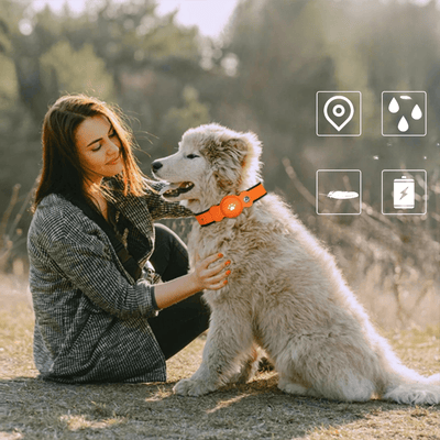 https://cdn.shopify.com/s/files/1/0489/2898/1148/files/Dog_Coller.png?v=1755873655
