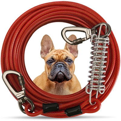 Cable d'attache avec ressort chien