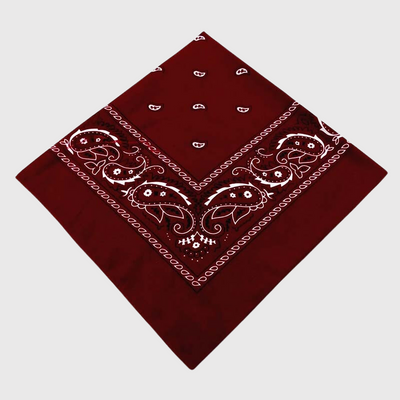 https://cdn.shopify.com/s/files/1/0763/9767/4819/products/EcBandana_chien_personnalise_marron_fonce.png?v=1729094385