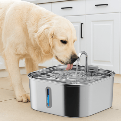 https://cdn.shopify.com/s/files/1/0763/9767/4819/files/Fontaine_a_eau_chien_ceramique.png?v=1753368503