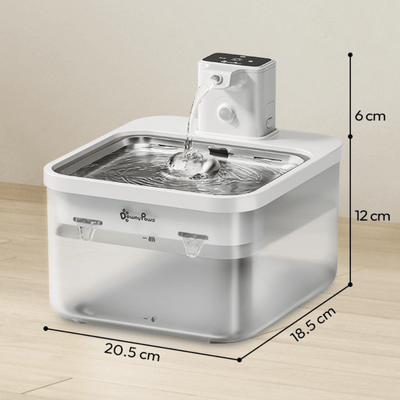 https://cdn.shopify.com/s/files/1/0763/9767/4819/files/Fontaine_a_eau_chien_rafraichissante_taille.png?v=1753370154
