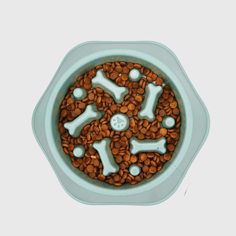 https://cdn.shopify.com/s/files/1/0763/9767/4819/files/Gamelle_anti_glouton_chien_en_forme_de_spirale_croquette.png?v=1744212288