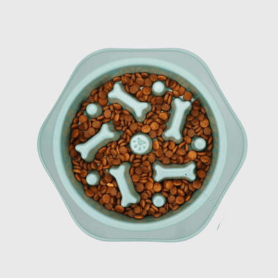 https://cdn.shopify.com/s/files/1/0763/9767/4819/files/Gamelle_anti_glouton_chien_en_forme_de_spirale_croquette.png?v=1744212288