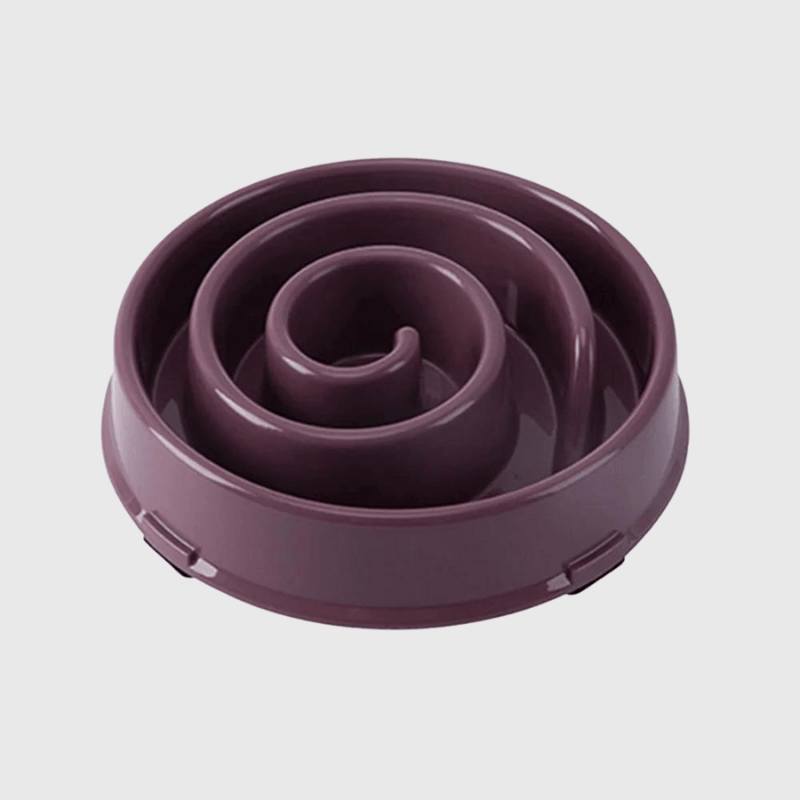 https://cdn.shopify.com/s/files/1/0763/9767/4819/files/Gamelle_anti_glouton_chien_en_forme_de_spirale_violet.png?v=1744212288