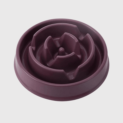 https://cdn.shopify.com/s/files/1/0763/9767/4819/files/Gamelle_anti_glouton_pour_petit_chien_violet.png?v=1744213091