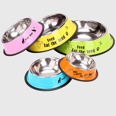 https://cdn.shopify.com/s/files/1/0763/9767/4819/files/Gamelle_chien_inox_rouge_modele.png?v=1755941691