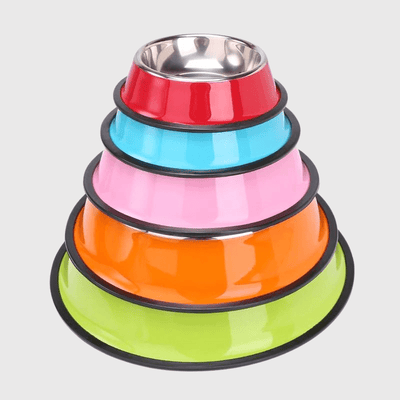 https://cdn.shopify.com/s/files/1/0763/9767/4819/files/Gamelle_chien_inox_vert_zoom.png?v=1755941747