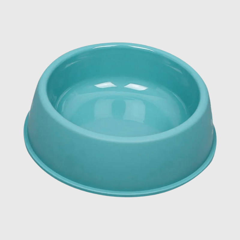 https://cdn.shopify.com/s/files/1/0763/9767/4819/files/Gamelle_chien_plastique_vert_chiot.png?v=1755941218