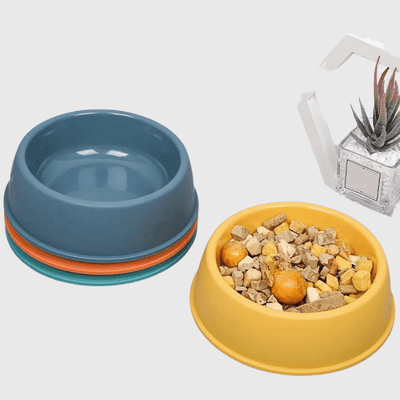 https://cdn.shopify.com/s/files/1/0763/9767/4819/files/Gamelle_chien_plastique_vert_croquette.png?v=1755941218