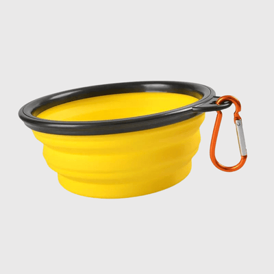 https://cdn.shopify.com/s/files/1/0763/9767/4819/files/Gamelle_chien_pliable_350ml_jaune.png?v=1744293615