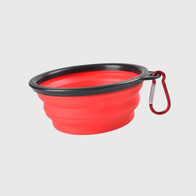 https://cdn.shopify.com/s/files/1/0763/9767/4819/files/Gamelle_chien_pliable_rouge.png?v=1744293748