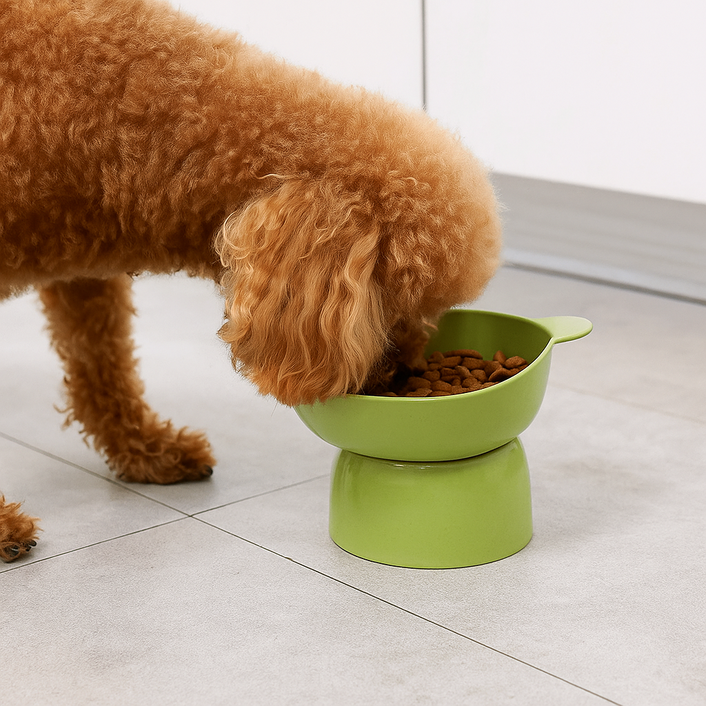 https://cdn.shopify.com/s/files/1/0763/9767/4819/files/Gamelle_chien_sureleve_vert_petit_chien.png?v=1750089952