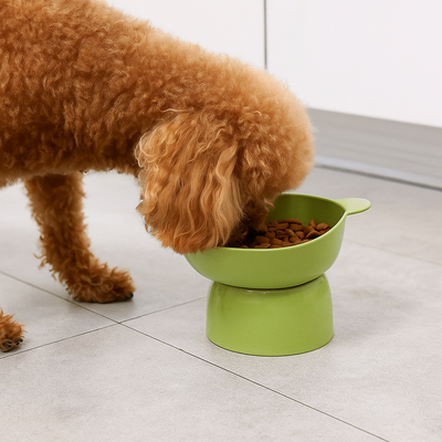 https://cdn.shopify.com/s/files/1/0763/9767/4819/files/Gamelle_chien_sureleve_vert_petit_chien.png?v=1750089952
