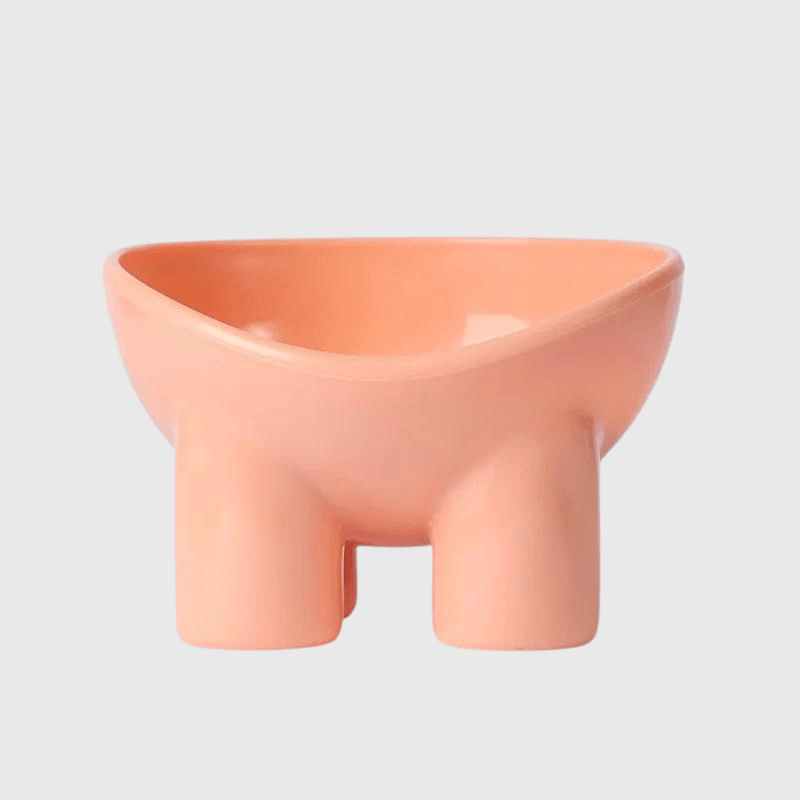 https://cdn.shopify.com/s/files/1/0763/9767/4819/files/Gamelle_chien_sur_lev_e_Rose_chihuahua_qui_mange.png?v=1744291187