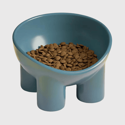 https://cdn.shopify.com/s/files/1/0763/9767/4819/files/Gamelle_chien_surelevee_rose_chiot.png?v=1744291159