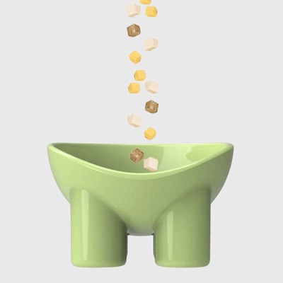 https://cdn.shopify.com/s/files/1/0763/9767/4819/files/Gamelle_chien_surelevee_vert_pale_croquette.png?v=1744211776
