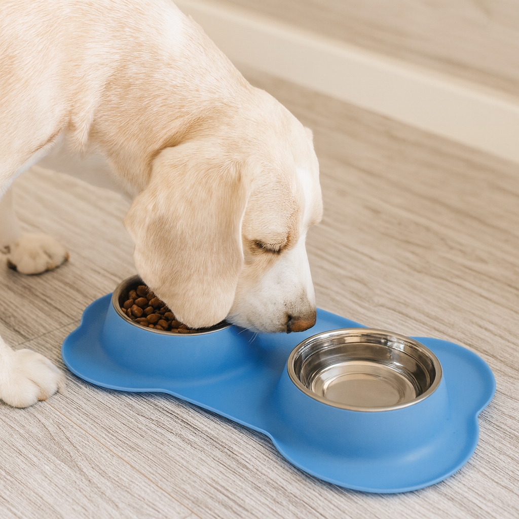 https://cdn.shopify.com/s/files/1/0763/9767/4819/files/Gamelle_double_chien_Bleu_labrador.png?v=1755940135