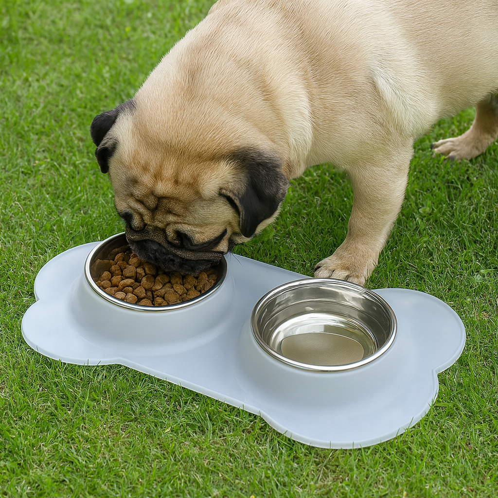 https://cdn.shopify.com/s/files/1/0763/9767/4819/files/Gamelle_double_chien_bouledogue.png?v=1755939941