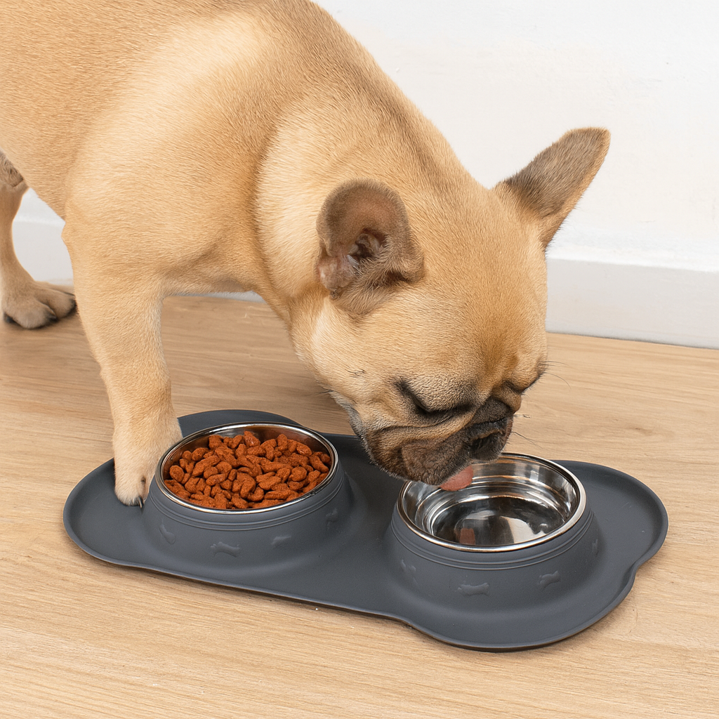 https://cdn.shopify.com/s/files/1/0763/9767/4819/files/Gamelle_double_chien_gris_bouledogue.png?v=1755940352