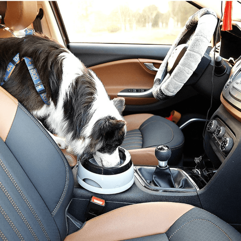 https://cdn.shopify.com/s/files/1/0763/9767/4819/files/Gamelle_eau_chien_anti_eclaboussure.png?v=1753283698