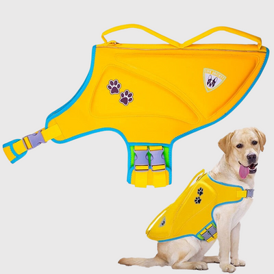 https://cdn.shopify.com/s/files/1/0763/9767/4819/files/Gilet_de_baignade_pour_chien_modele_chien.png?v=1753792687