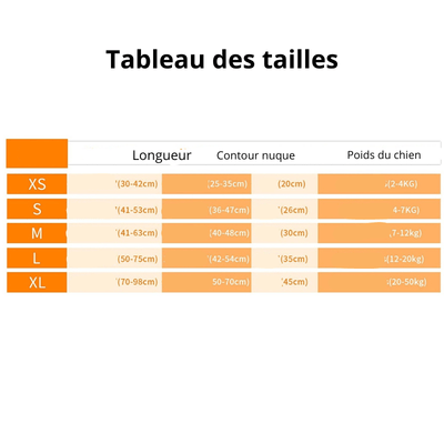 https://cdn.shopify.com/s/files/1/0763/9767/4819/files/Gilet_de_flottaison_pour_chien_taille.png?v=1753792317