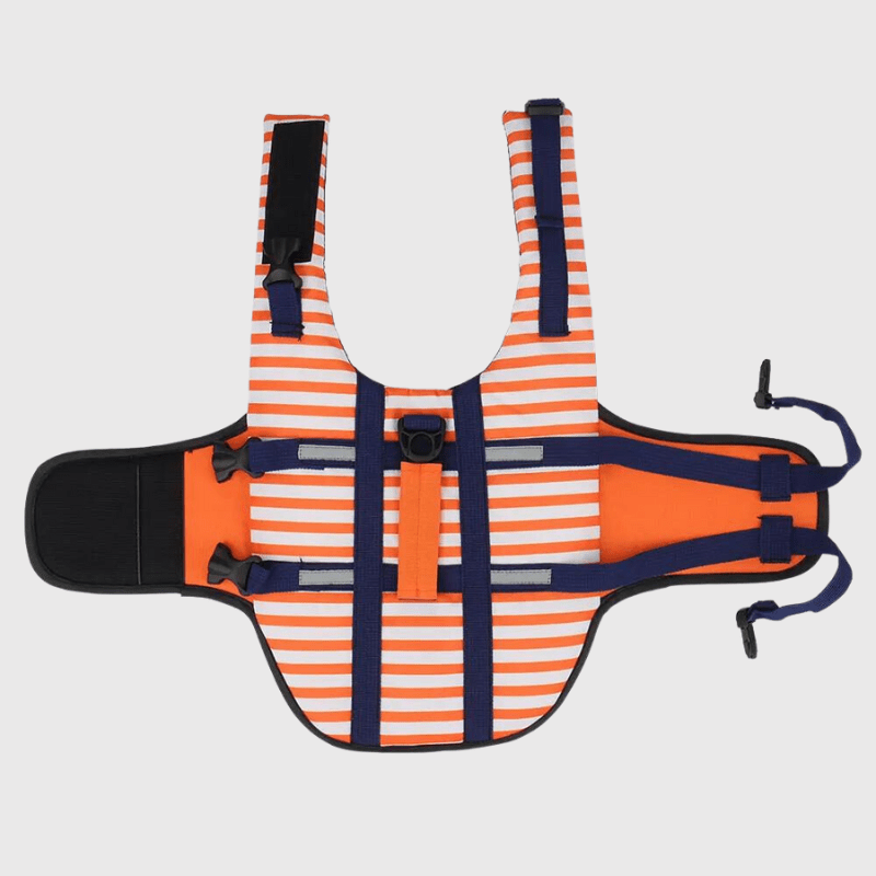https://cdn.shopify.com/s/files/1/0763/9767/4819/files/Gilet_de_sauvetage_chien_raye_Orange_attache.png?v=1753791058