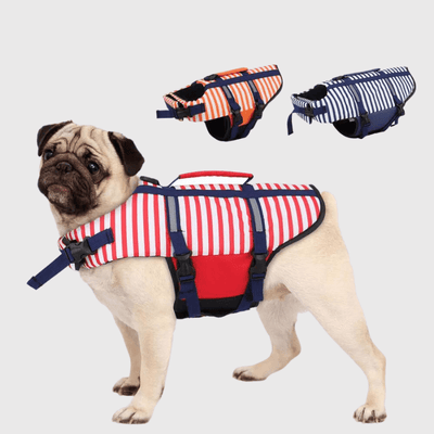 https://cdn.shopify.com/s/files/1/0763/9767/4819/files/Gilet_de_sauvetage_chien_raye_Orange_modele.png?v=1753791058