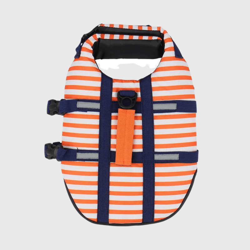 https://cdn.shopify.com/s/files/1/0763/9767/4819/files/Gilet_de_sauvetage_chien_raye_Orange_recto.png?v=1753791058