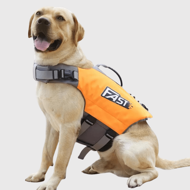 https://cdn.shopify.com/s/files/1/0763/9767/4819/files/Gilet_de_sauvetage_pour_chien_Fast_orange-chien-de-chasse-qui-nage.png?v=1744037183