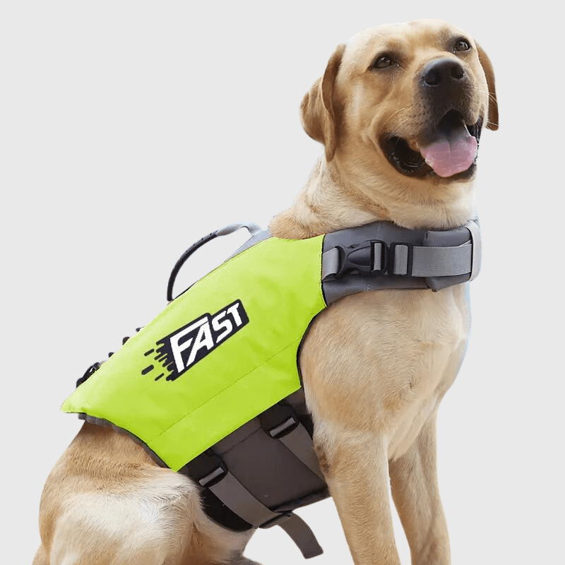 https://cdn.shopify.com/s/files/1/0763/9767/4819/files/Gilet_de_sauvetage_pour_chien_Fast_vert.png?v=1744036626