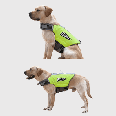 https://cdn.shopify.com/s/files/1/0763/9767/4819/files/Gilet_de_sauvetage_pour_chien_Fast_vert_labrador.png?v=1744036626
