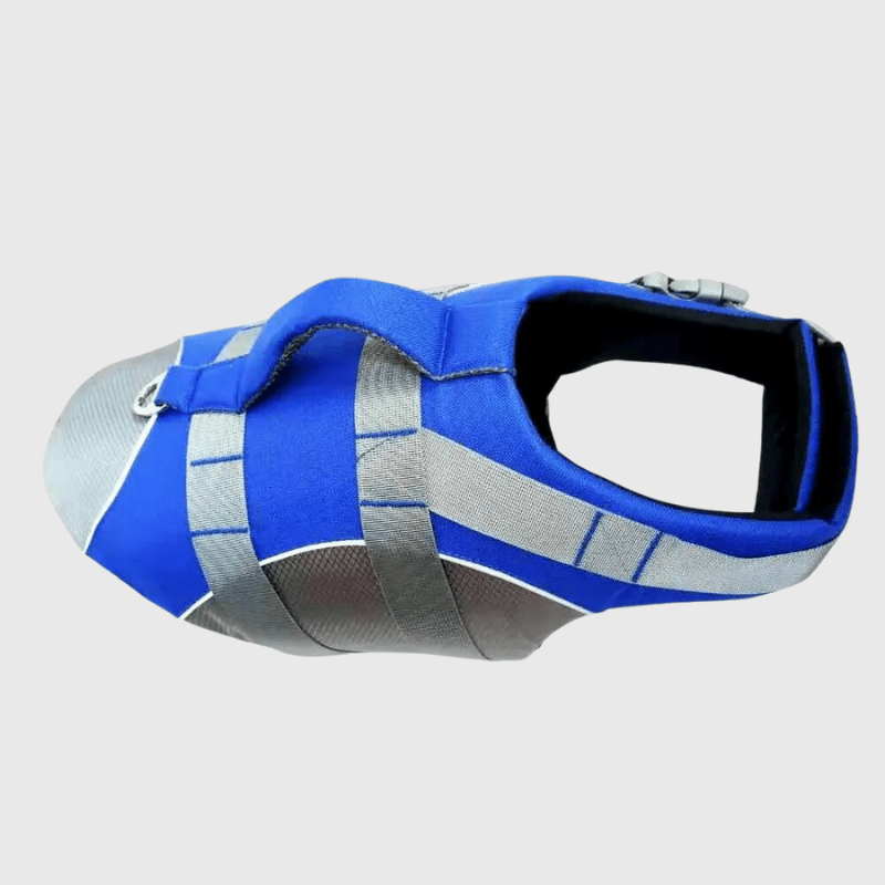 https://cdn.shopify.com/s/files/1/0763/9767/4819/files/Gilet_de_sauvetage_pour_chien_de_couleur_bleu_chien_de_chasse.png?v=1753791789