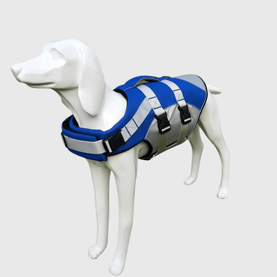 https://cdn.shopify.com/s/files/1/0763/9767/4819/files/Gilet_de_sauvetage_pour_chien_de_couleur_gris_chiot.png?v=1753791490