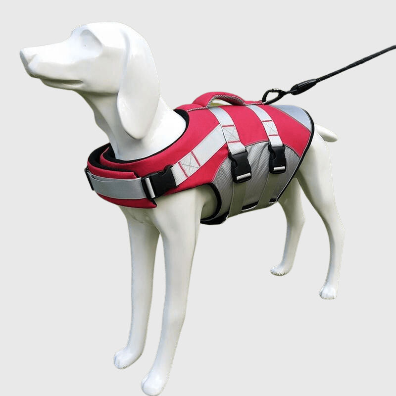 https://cdn.shopify.com/s/files/1/0763/9767/4819/files/Gilet_de_sauvetage_pour_chien_de_couleur_orange_modele.png?v=1743776677