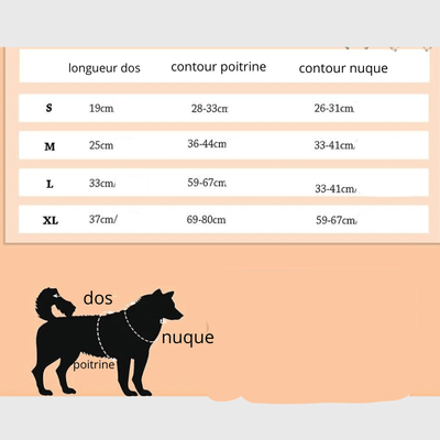 https://cdn.shopify.com/s/files/1/0763/9767/4819/files/Gilet_de_sauvetage_pour_chien_de_couleur_orange_taille.png?v=1743776677