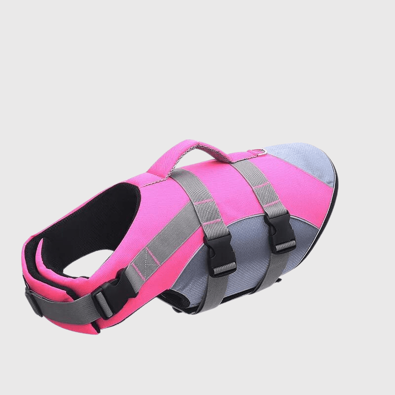 https://cdn.shopify.com/s/files/1/0763/9767/4819/files/Gilet_de_sauvetage_pour_chien_de_couleur_rose-labrador-dans-l_eau.png?v=1743778970