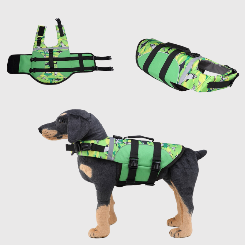 https://cdn.shopify.com/s/files/1/0763/9767/4819/files/Gilet_de_sauvetage_pour_chien_requin_modele_vert.png?v=1755529485