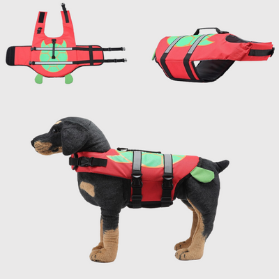 https://cdn.shopify.com/s/files/1/0763/9767/4819/files/Gilet_de_sauvetage_pour_chien_requin_rouge_vert.png?v=1755529485
