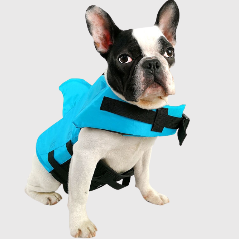 https://cdn.shopify.com/s/files/1/0763/9767/4819/files/Gilet_de_sauvetage_pour_petit_chien_modele_chien_bleu.png?v=1743776263