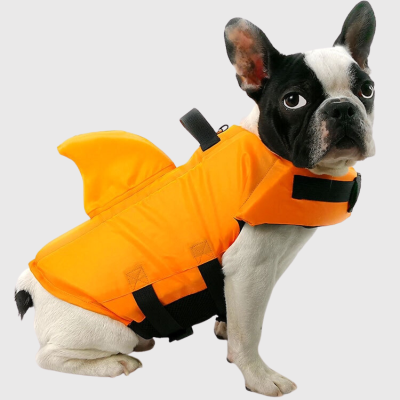 https://cdn.shopify.com/s/files/1/0763/9767/4819/files/Gilet_de_sauvetage_pour_petit_chien_modele_chien_orange.png?v=1743776263