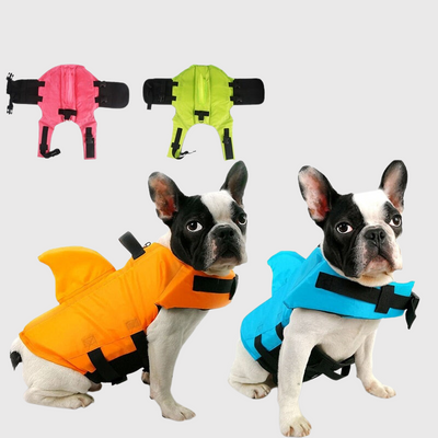 https://cdn.shopify.com/s/files/1/0763/9767/4819/files/Gilet_de_sauvetage_pour_petit_chien_modele_colore.png?v=1743776263