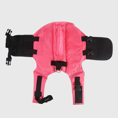 https://cdn.shopify.com/s/files/1/0763/9767/4819/files/Gilet_de_sauvetage_pour_petit_chien_rose.png?v=1743776263