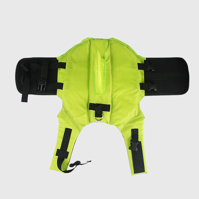 https://cdn.shopify.com/s/files/1/0763/9767/4819/files/Gilet_de_sauvetage_pour_petit_chien_vert.png?v=1743776263